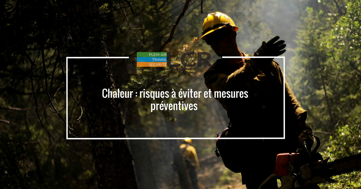 Chaleur : risques à éviter et mesures préventives pour travailleurs forestiers